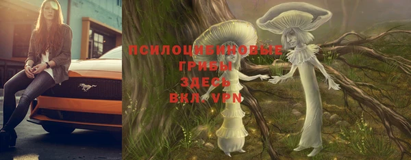 МДПВ Алексеевка